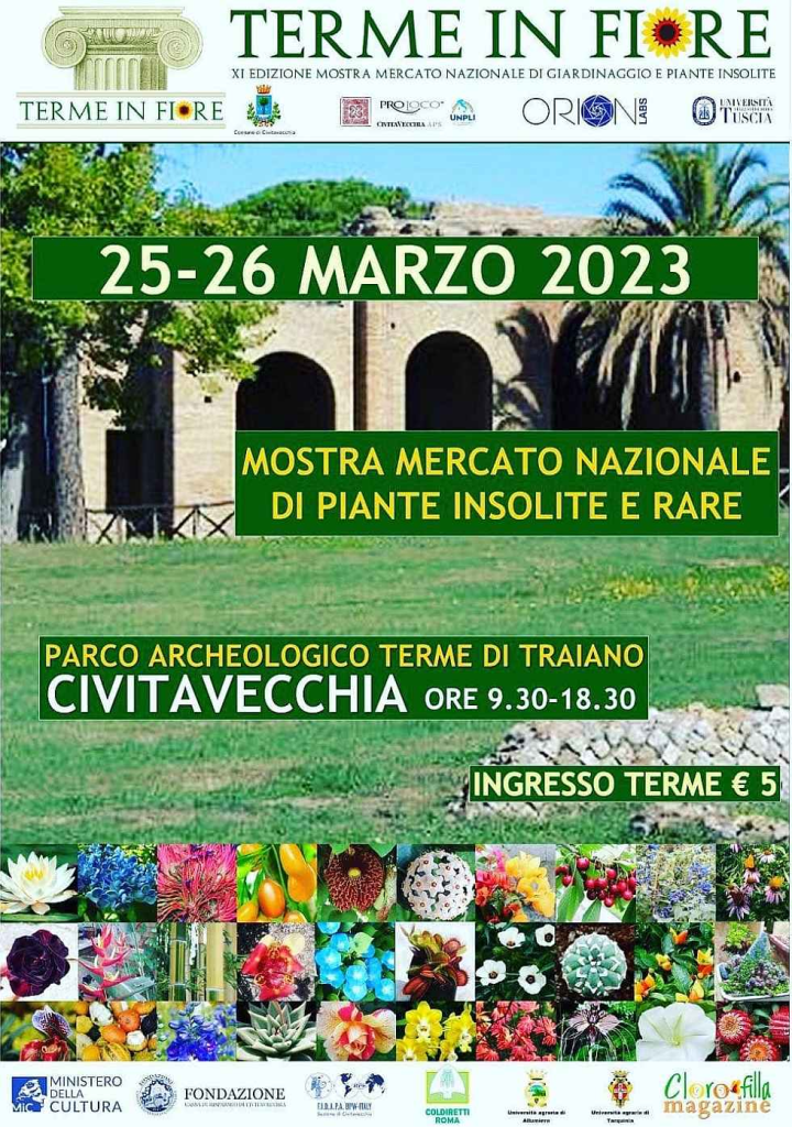 Cosa fare questo fine settimana nel Lazio: 24-27 marzo 2023